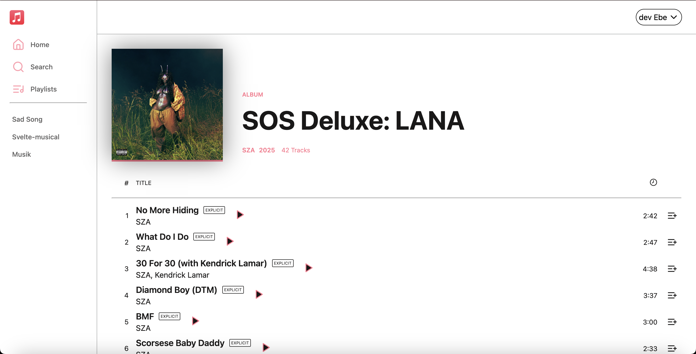 Sv Music screenshot 7